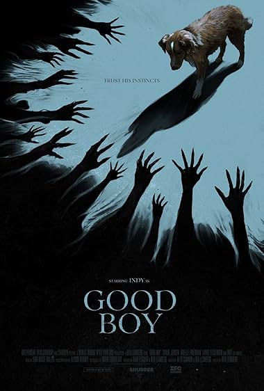 دانلود فیلم Good Boy